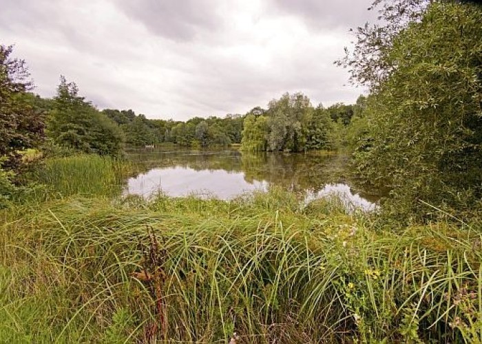 39. Lake / Pond