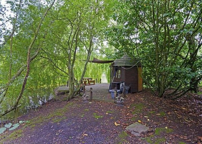 41. Woodland