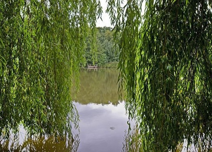 42. Lake / Pond