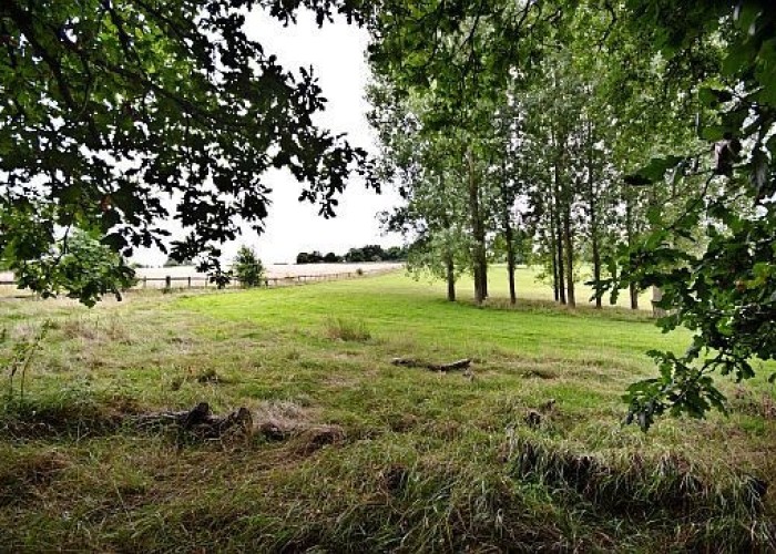 46. Fields