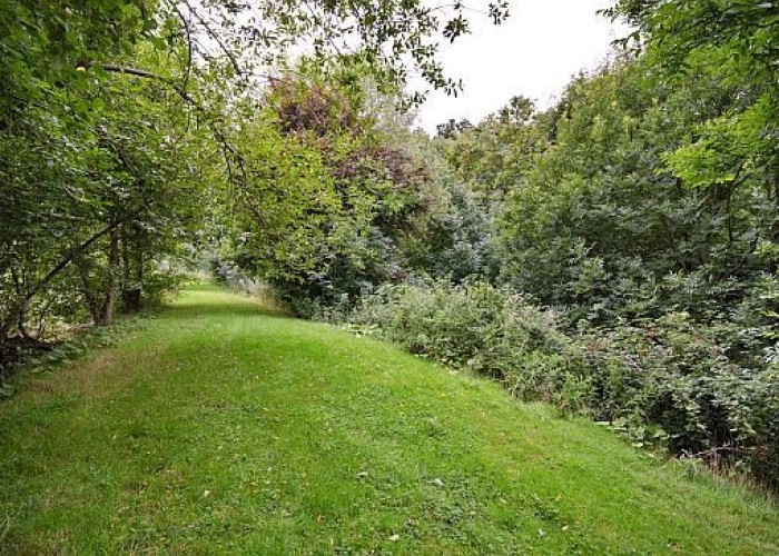 47. Woodland