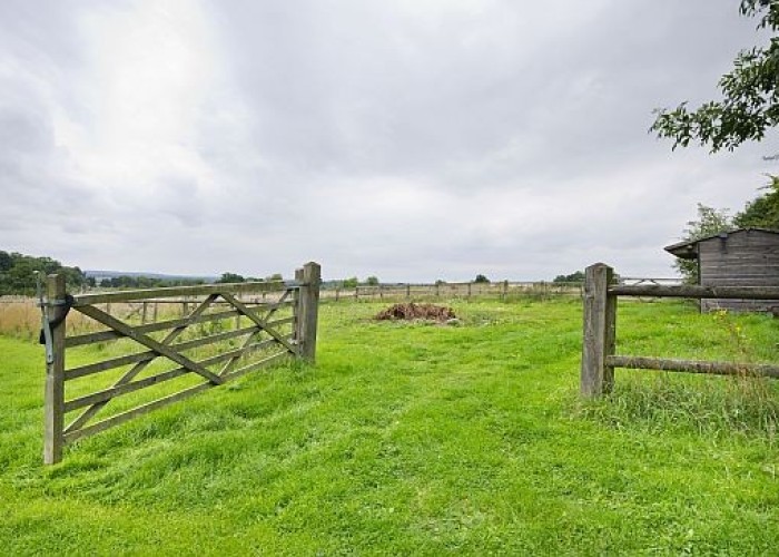 52. Countryside View