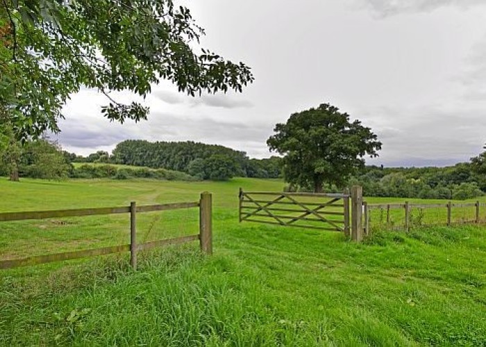 53. Gardens