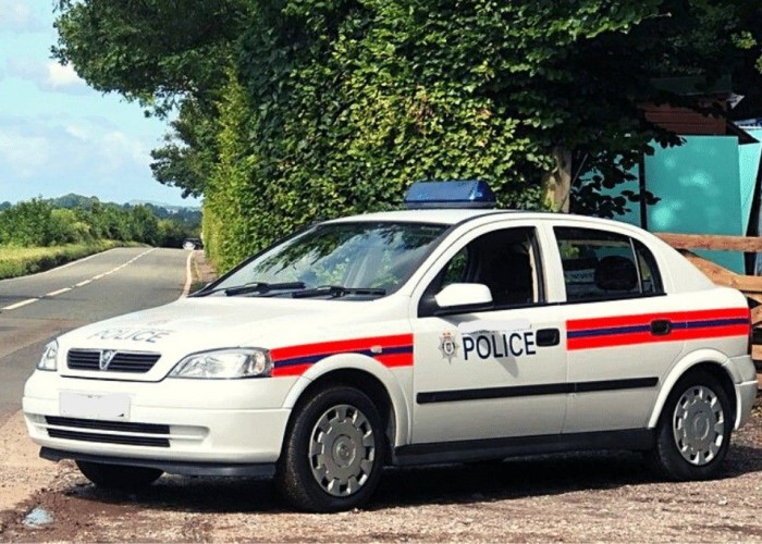 1. Cars (Police)