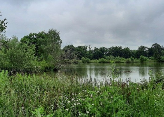 5. Lake / Pond, Coronavirus-Friendly