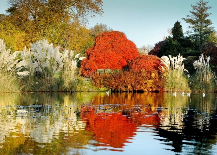 16. Lake / Pond