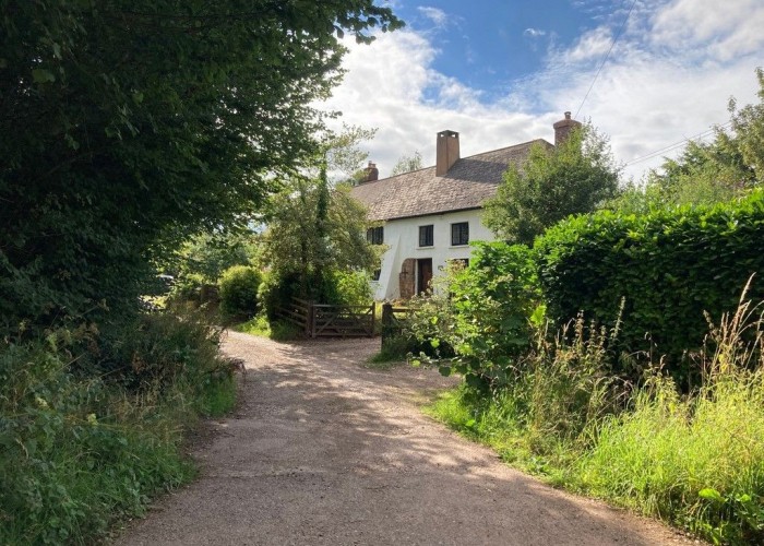 1. Driveway, Coronavirus-Friendly