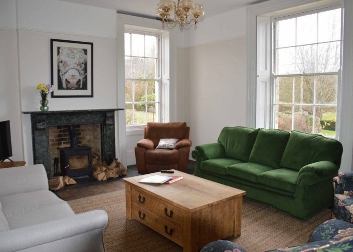 9. Livingroom, Fireplace