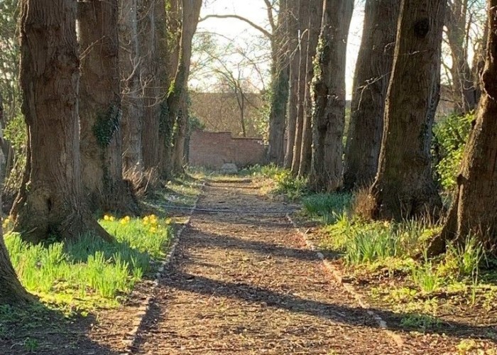 40. Woodland