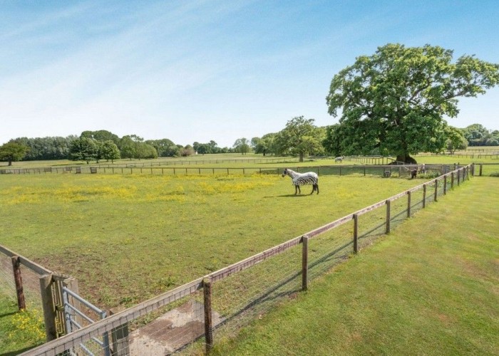 15. Field (Farmland)