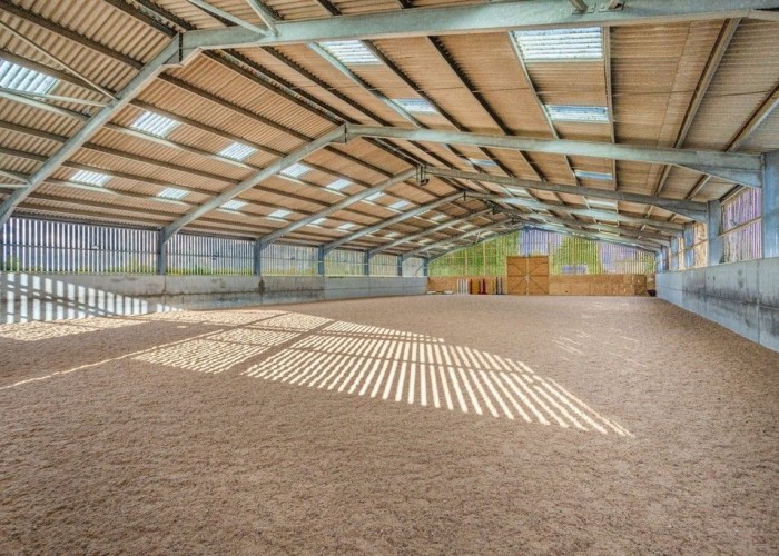 125. Arena