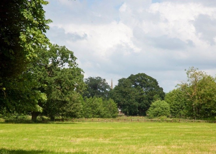 128. Fields