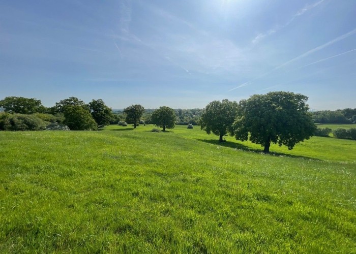 6. Fields, Field (Farmland)