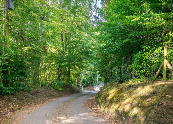 1. Driveway