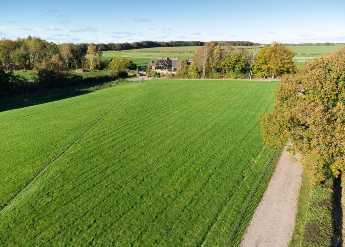 40. Fields
