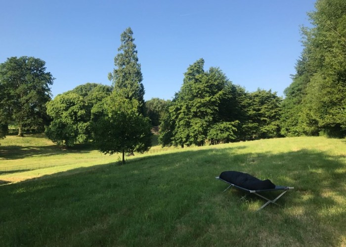 47. Field (Meadow)