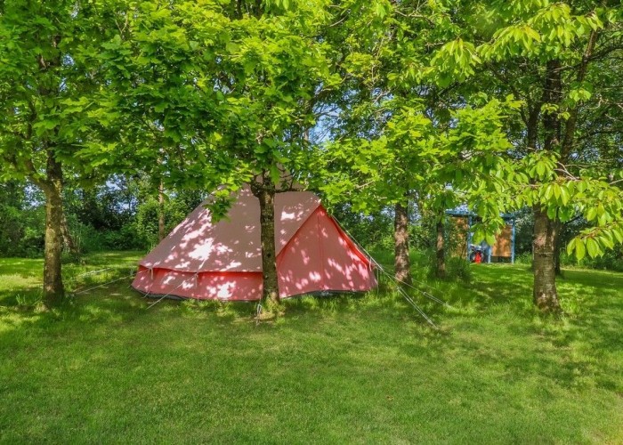 20. Garden (Rear, Large)