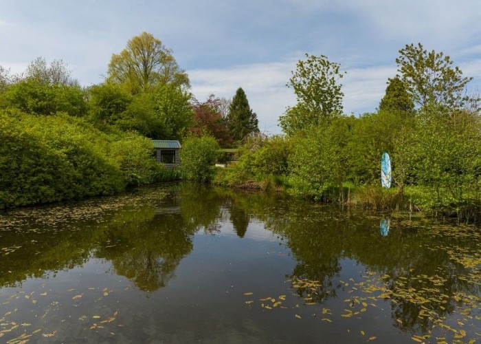 22. Lake / Pond
