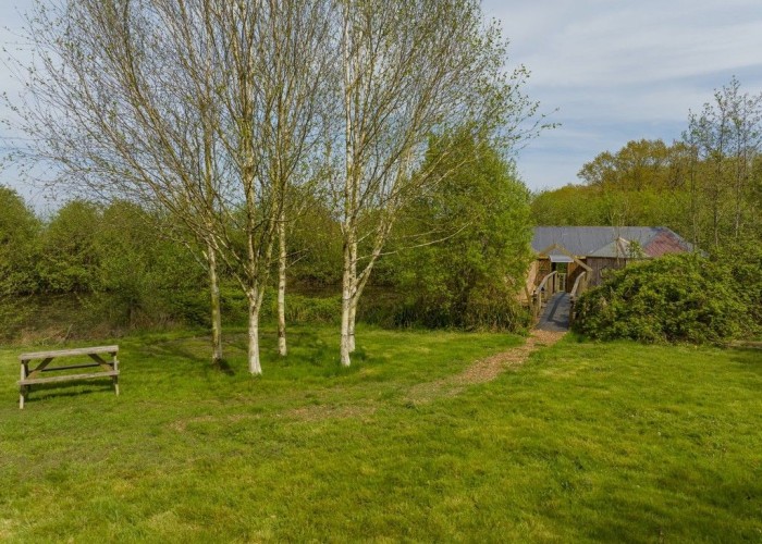21. Woodland