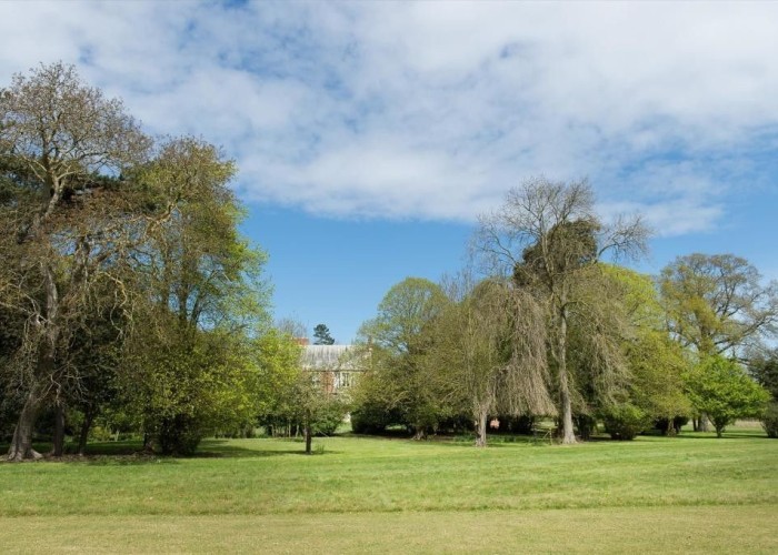 29. Garden (Rear, Large)