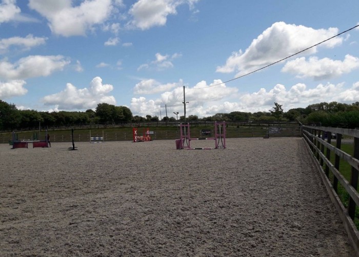 7. Equestrian