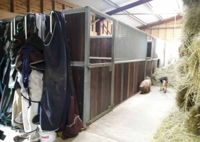 11. Stables