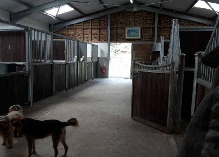 14. Stables