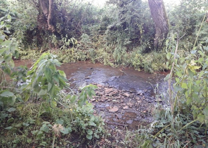 31. River / Stream