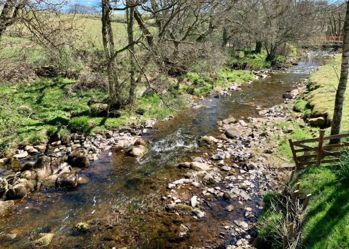 12. River / Stream