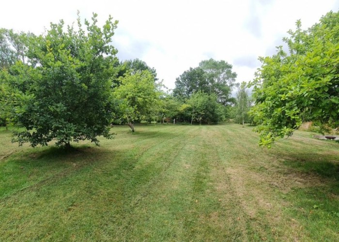 47. Garden (Rear, Large)