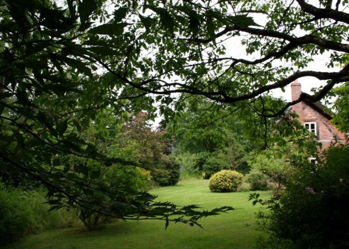 13. Garden (Rear, Large)