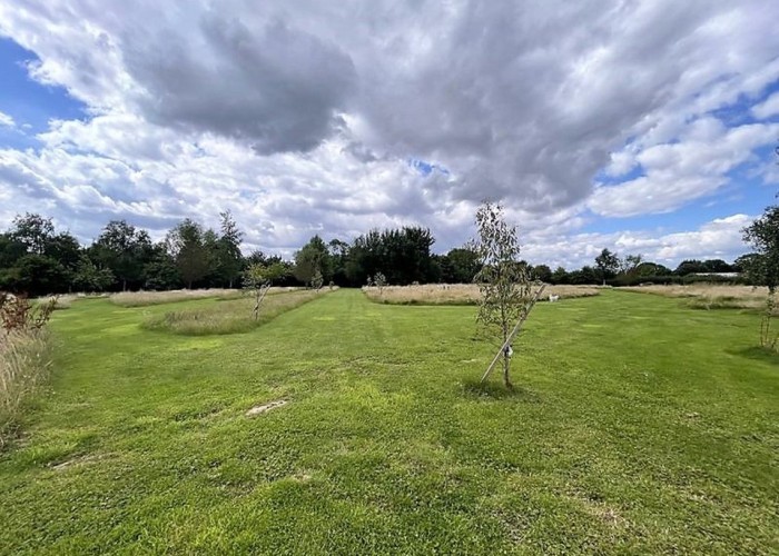 10. Garden (Rear, Large)