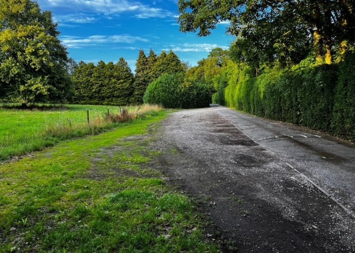 49. Road