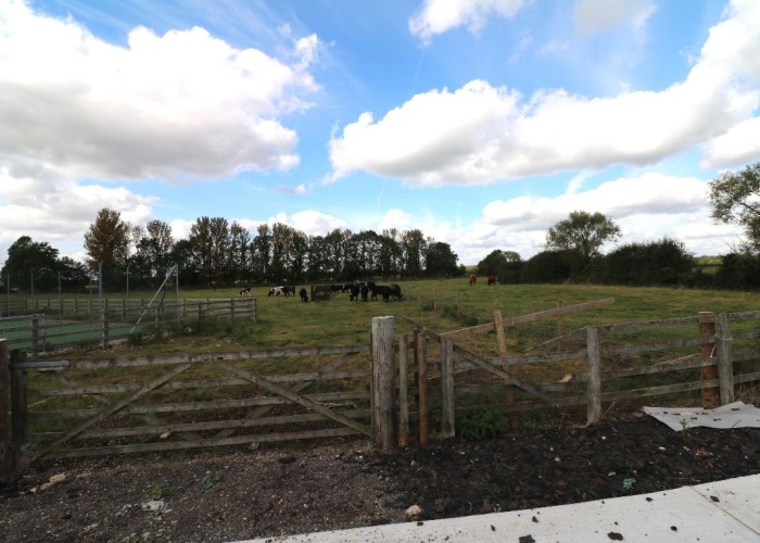 29. Field (Farmland)