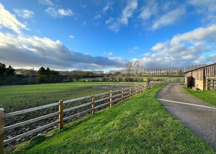 16. Field (Farmland)
