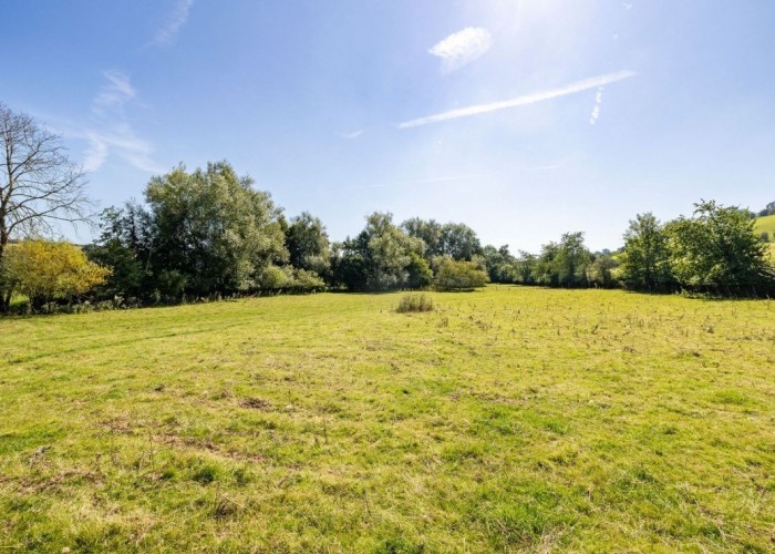 20. Field (Meadow)