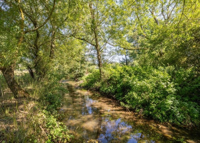 21. River / Stream
