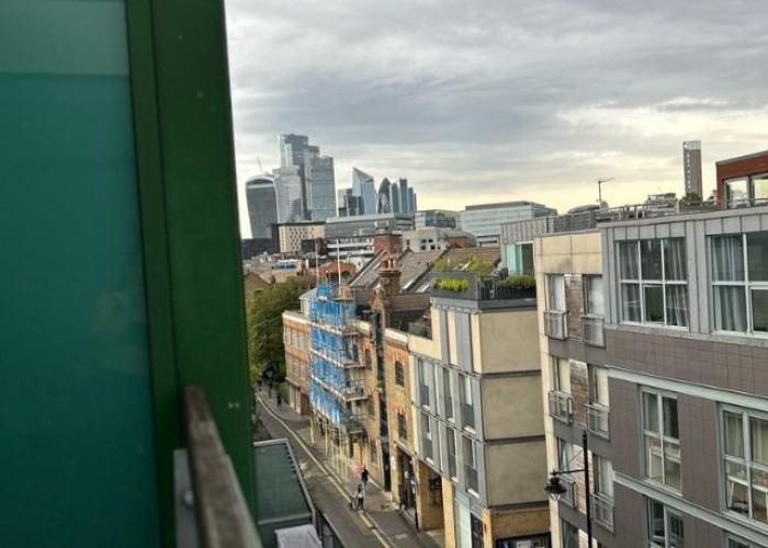 9. City View