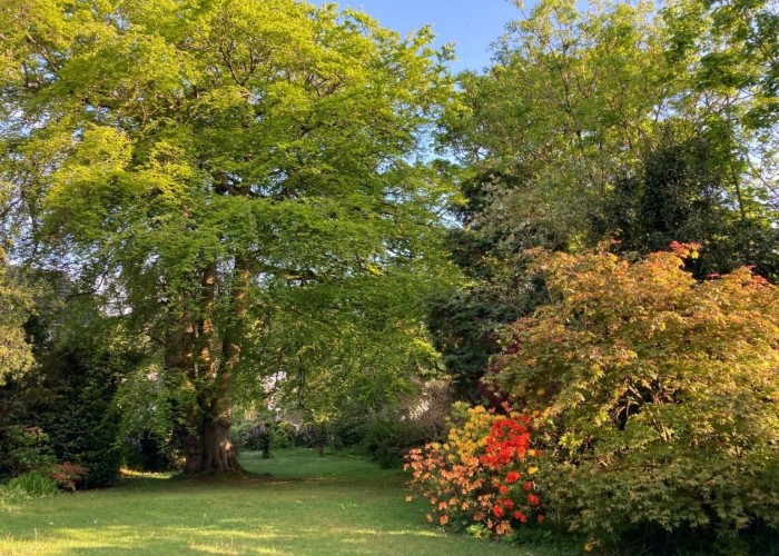 20. Garden (Rear, Large)