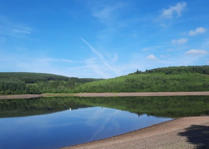 7. Woodland, Lake / Pond