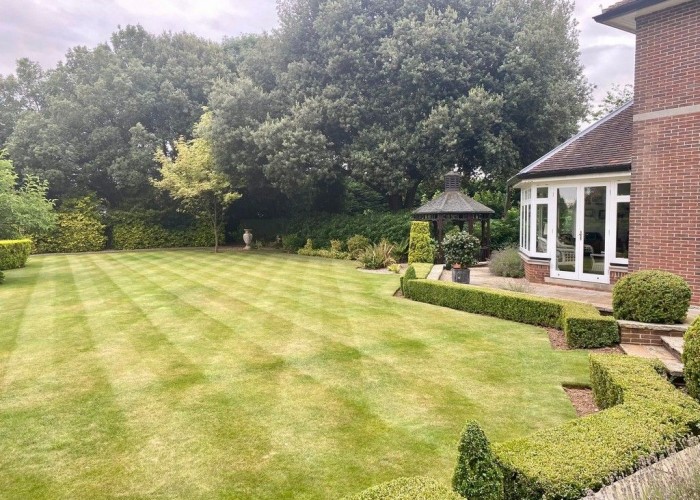 11. Lawn