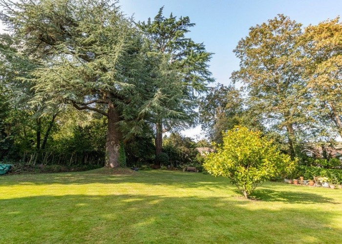 45. Garden (Rear, Large)