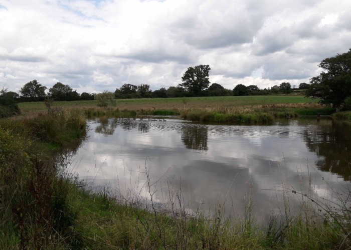 59. Lake / Pond