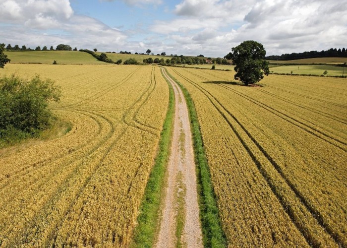 19. Road