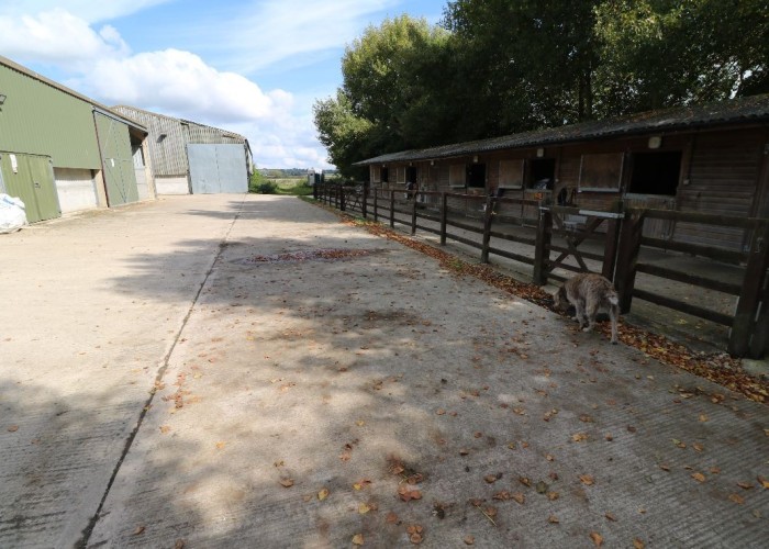 1. Stables
