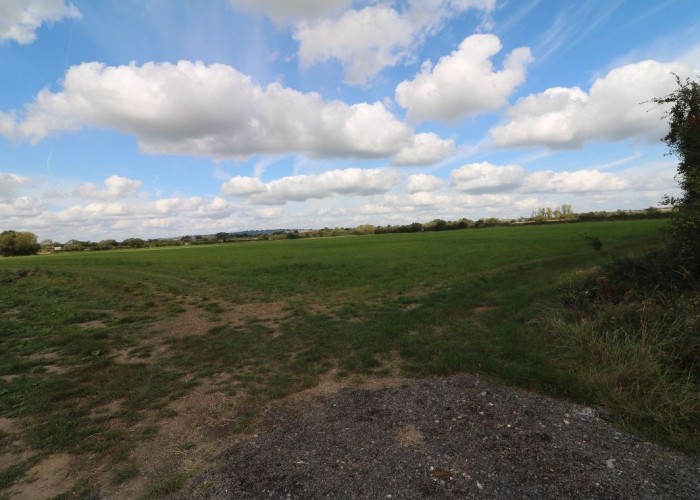 14. Field (Farmland)