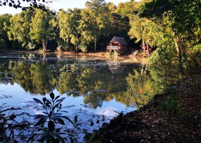 52. Woodland, Lake / Pond