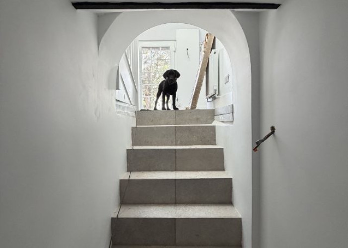 Stairs, Wall at Farm House Under Renovation For Filming, Kent