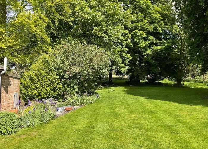 45. Lawn