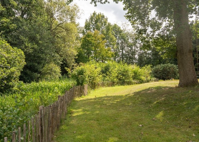32. Garden (Rear, Large)